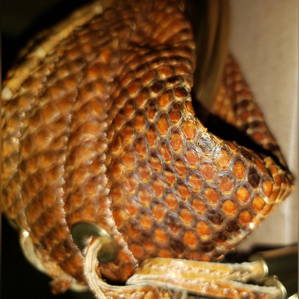 Super Rare Flawless. Donna Karan burnt orange python snakeskin mini bag - Picture 4 of 16